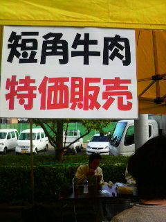 短角牛.jpg