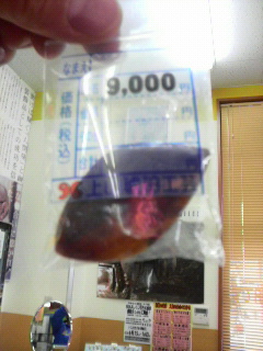 2011050415100000.jpg