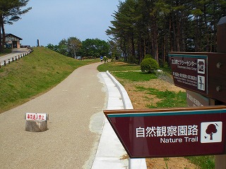 写真 (36).jpg