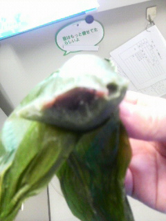2011091416390000.jpg