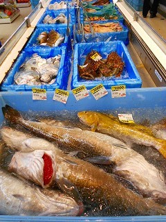 DSCN7087.jpg