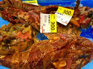 DSCN7088.jpg