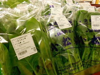 DSCN7089.jpg