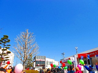 DSCN2403.jpg