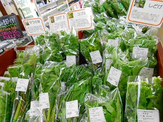 DSCN7153.jpg