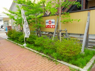 h25-7-16 レトロ草取り (1).jpg