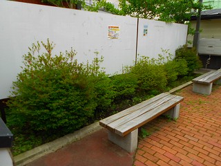 h25-7-16 レトロ草取り (2).jpg