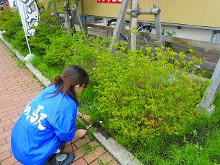 h25-7-16 レトロ草取り (3).jpg
