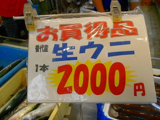 DSCN7366.jpg