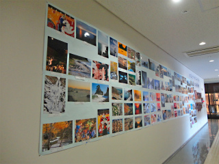 photo1.jpg