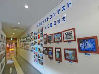 photo2.jpg