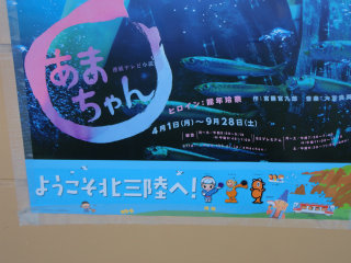 sDSC04238.jpg