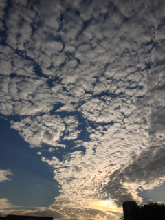 image-20121014181852.png