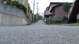 110618_1055~02.jpg
