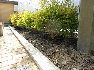 DSCN0081.jpg