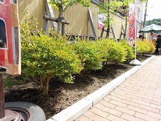 DSCN0084.jpg