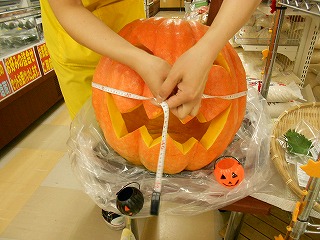 DSCN0382.jpg