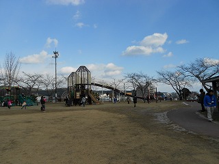 DSCN1138.jpg