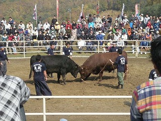 DSCN8926.jpg