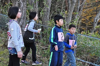 DSC_4911.jpg