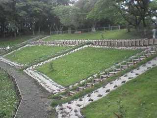 画像1.jpg